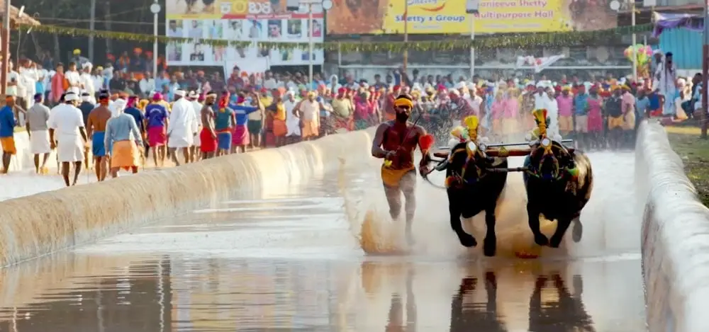 Water is Elixir: A G20 Documentary — still 2